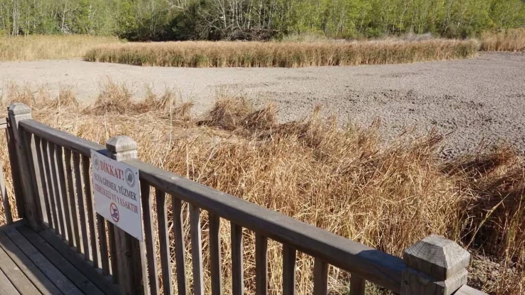 Eğirdir Gölü İkiye Ayrıldı! Doğal Cennet Can Çekişiyor 4